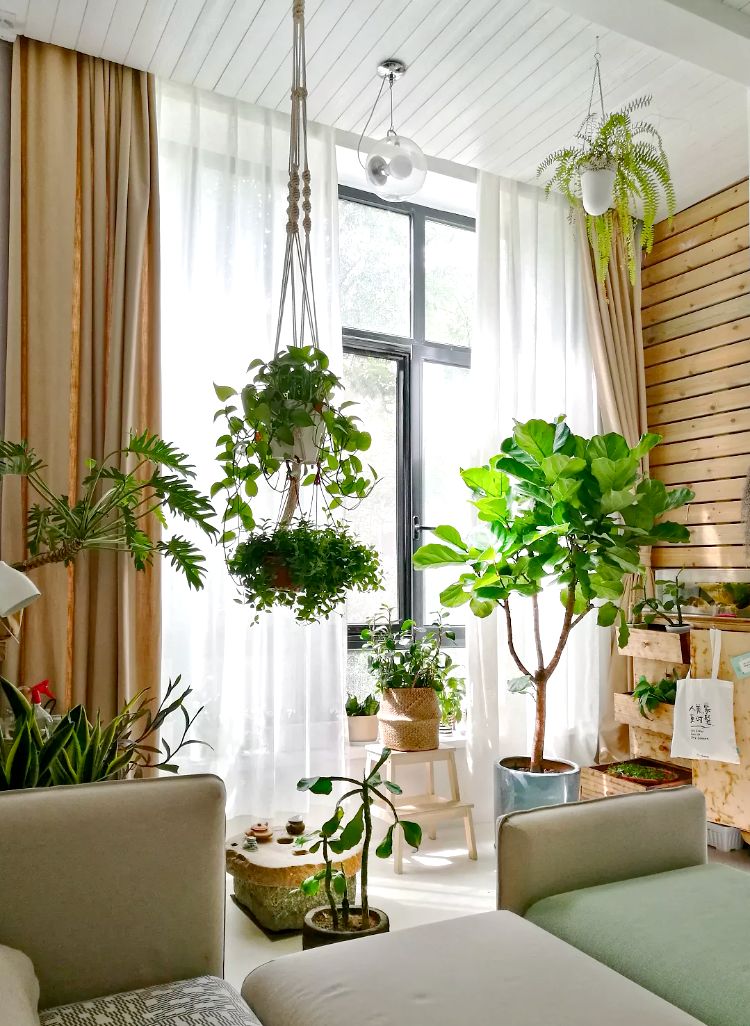 新房裝修 新房裝修